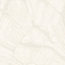 Load image into Gallery viewer, MARBLE PHILIPP PLEIN 2
