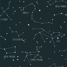 Load image into Gallery viewer, OUR PLANET CONSTELLATIONS
