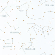 Lade das Bild in den Galerie-Viewer, OUR PLANET CONSTELLATIONS
