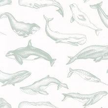 Carregar imagem no visualizador da galeria, WHALE DONE
