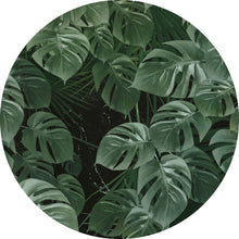 Charger l&#39;image dans la galerie, ROMAN MONSTERA
