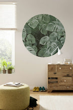 Charger l&#39;image dans la galerie, ROMAN MONSTERA
