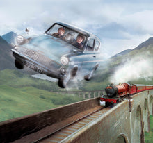 Lade das Bild in den Galerie-Viewer, FLYING CAR
