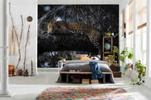 Lade das Bild in den Galerie-Viewer, PANTHERA
