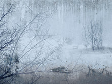 Lade das Bild in den Galerie-Viewer, SNOW IN THE FOREST
