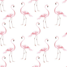 Lade das Bild in den Galerie-Viewer, FLAMINGOS
